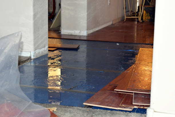 Professional Burst Pipe Cleanup technician working in Ogilvie, MN